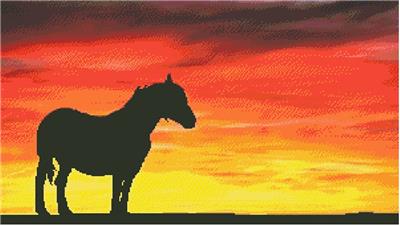 (image for) In the Sunset